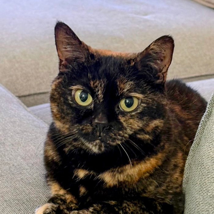 Penny